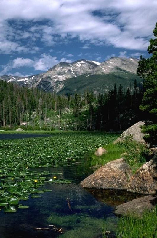 Timberline Inn Rocky Mountain View