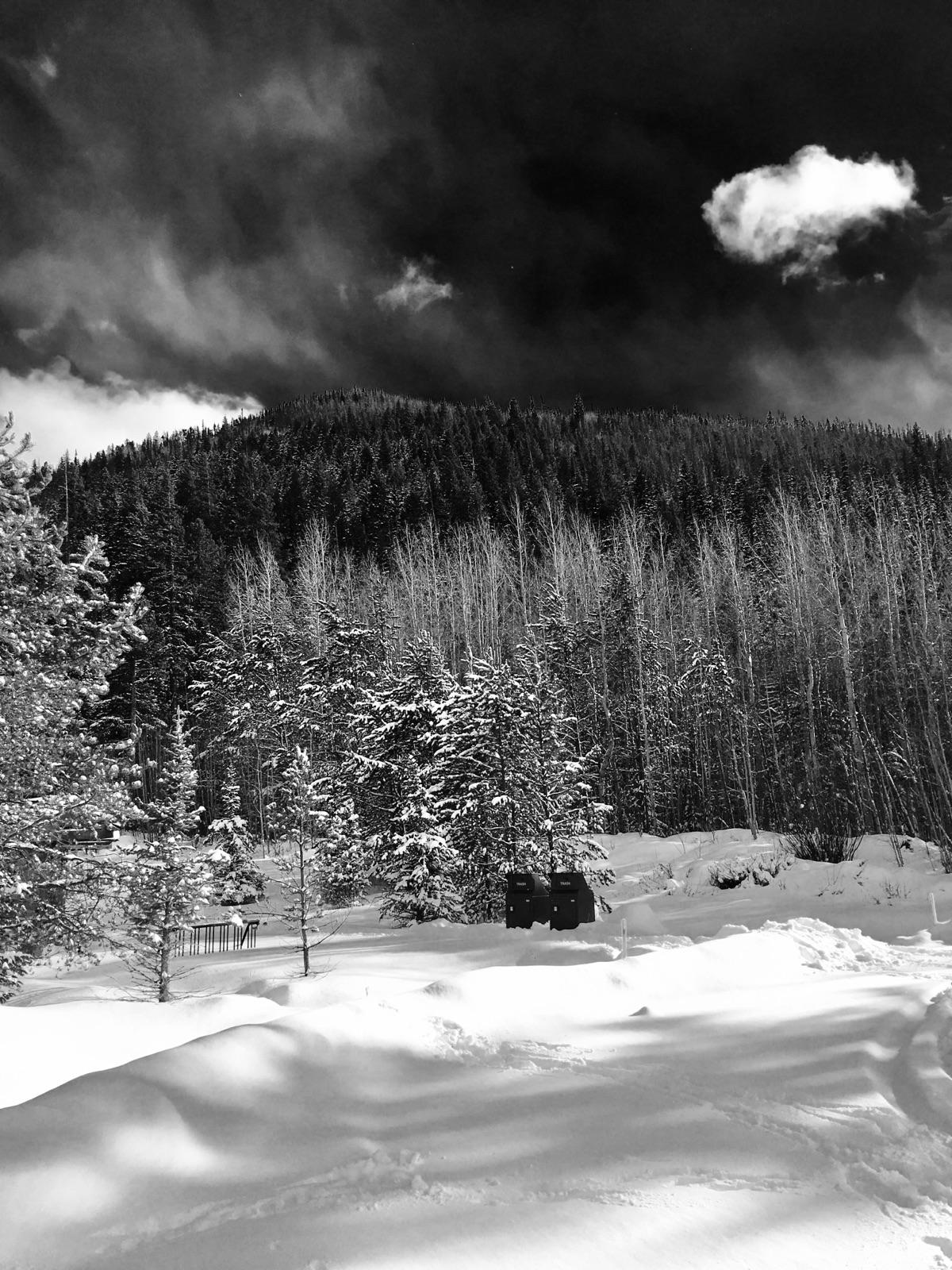 Timberline Inn Scenic View